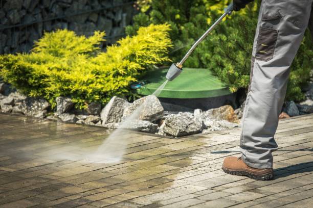 Best Animal Enclosure Cleaning  in West Baraboo, WI